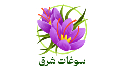 خشکبار 